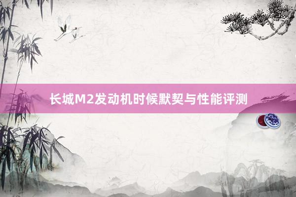 长城M2发动机时候默契与性能评测