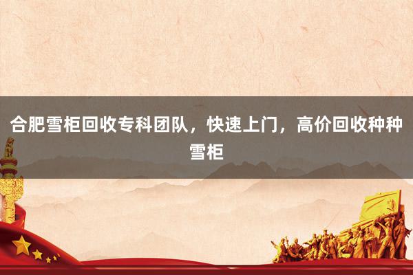 合肥雪柜回收专科团队，快速上门，高价回收种种雪柜