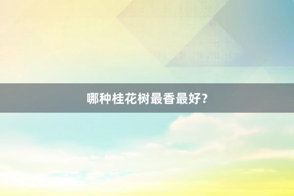 哪种桂花树最香最好？